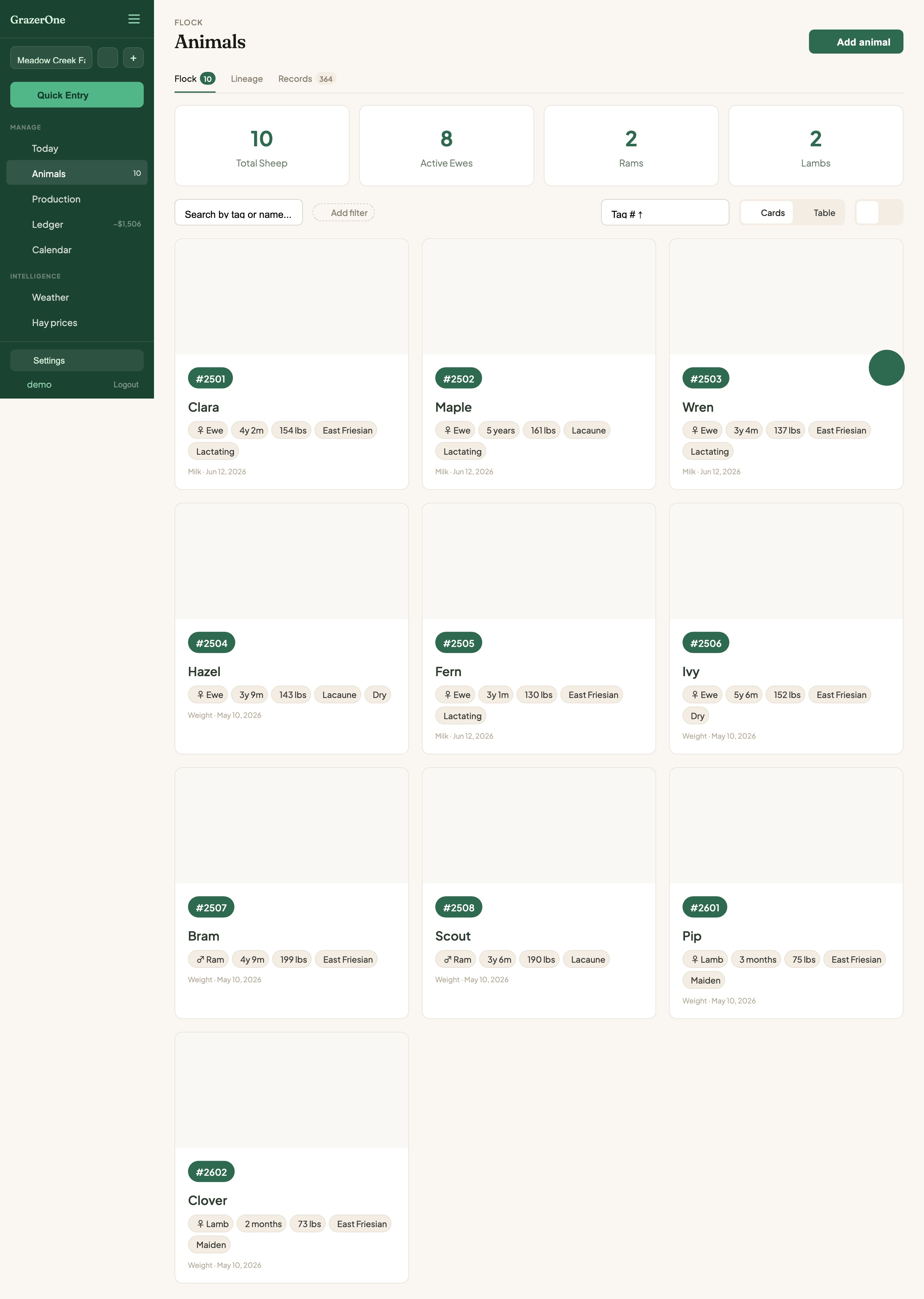 Animals view showing flock cards with photos