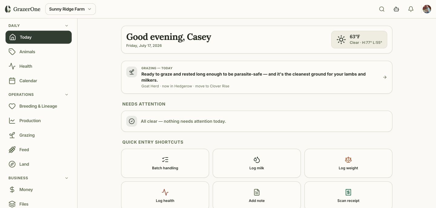 GrazerOne Today view with a light app navigation shell and daily farm work cards