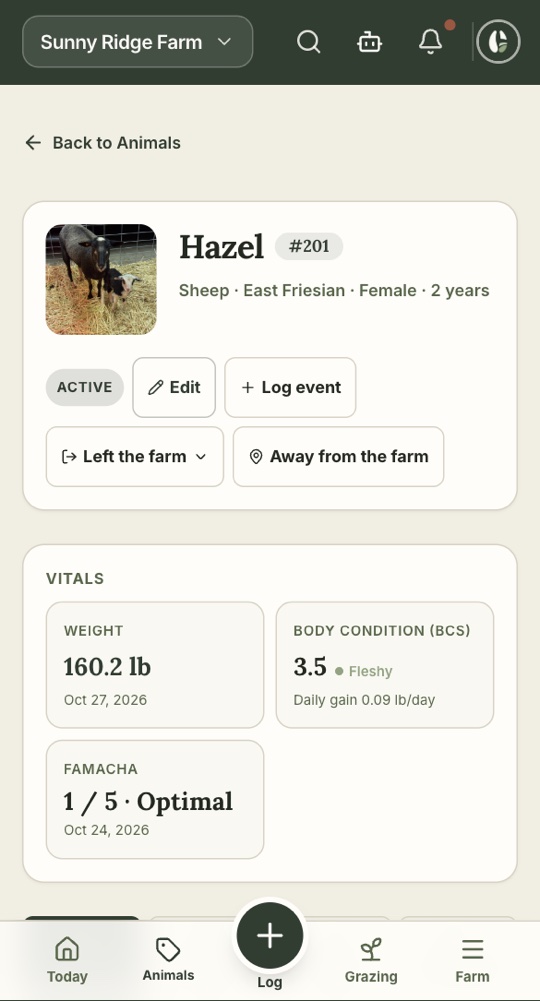 Hazel's animal page