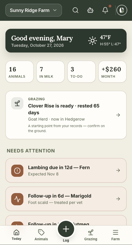 Grazing card on the Today screen